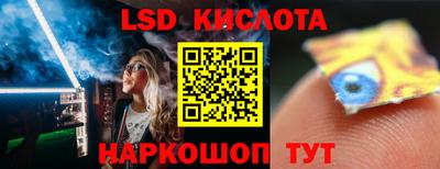 спайс Тара